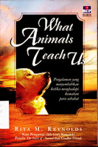 Image of What Animals Teach Us